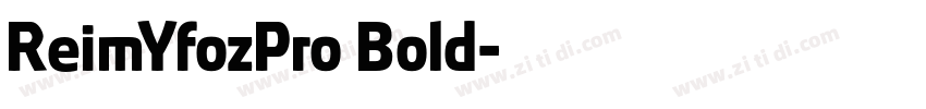 ReimYfozPro Bold字体转换